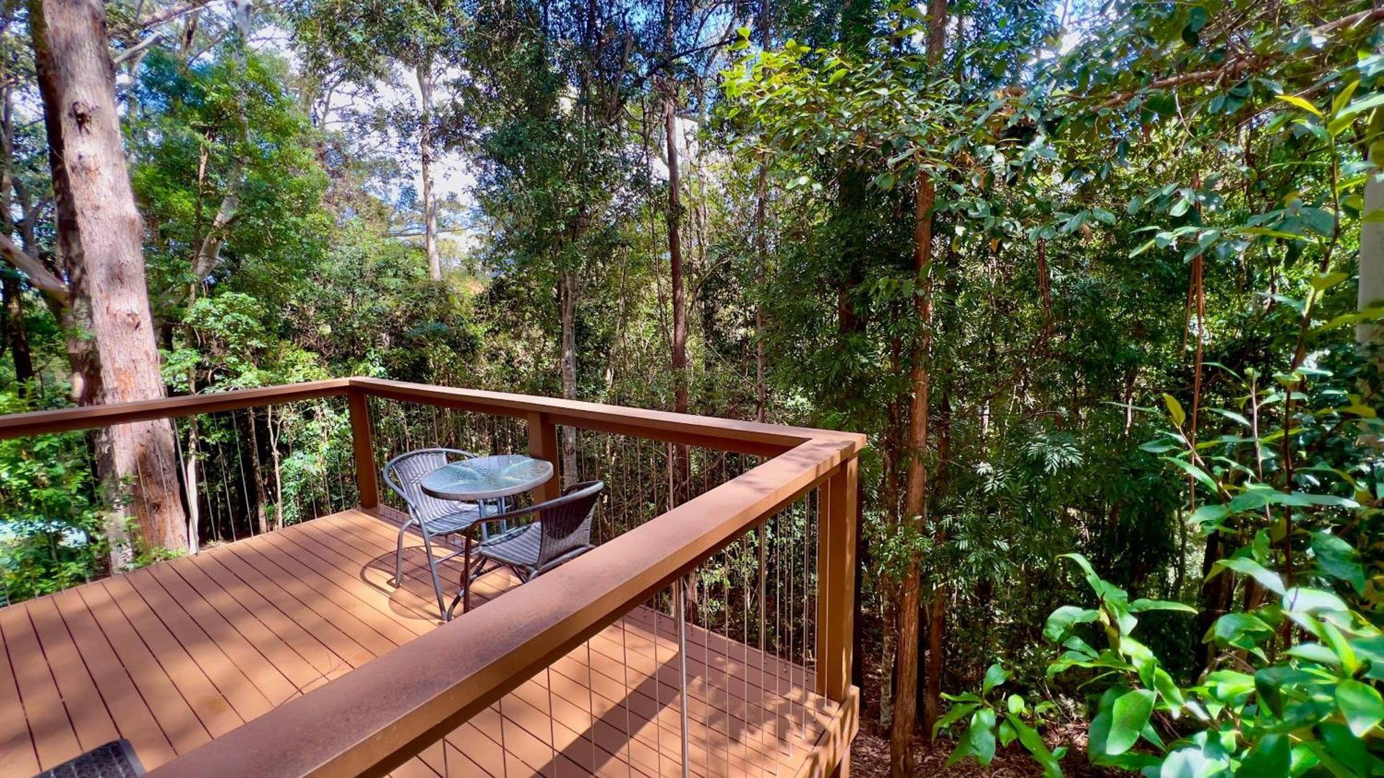 Kondalilla Eco Resort Montville Exterior foto