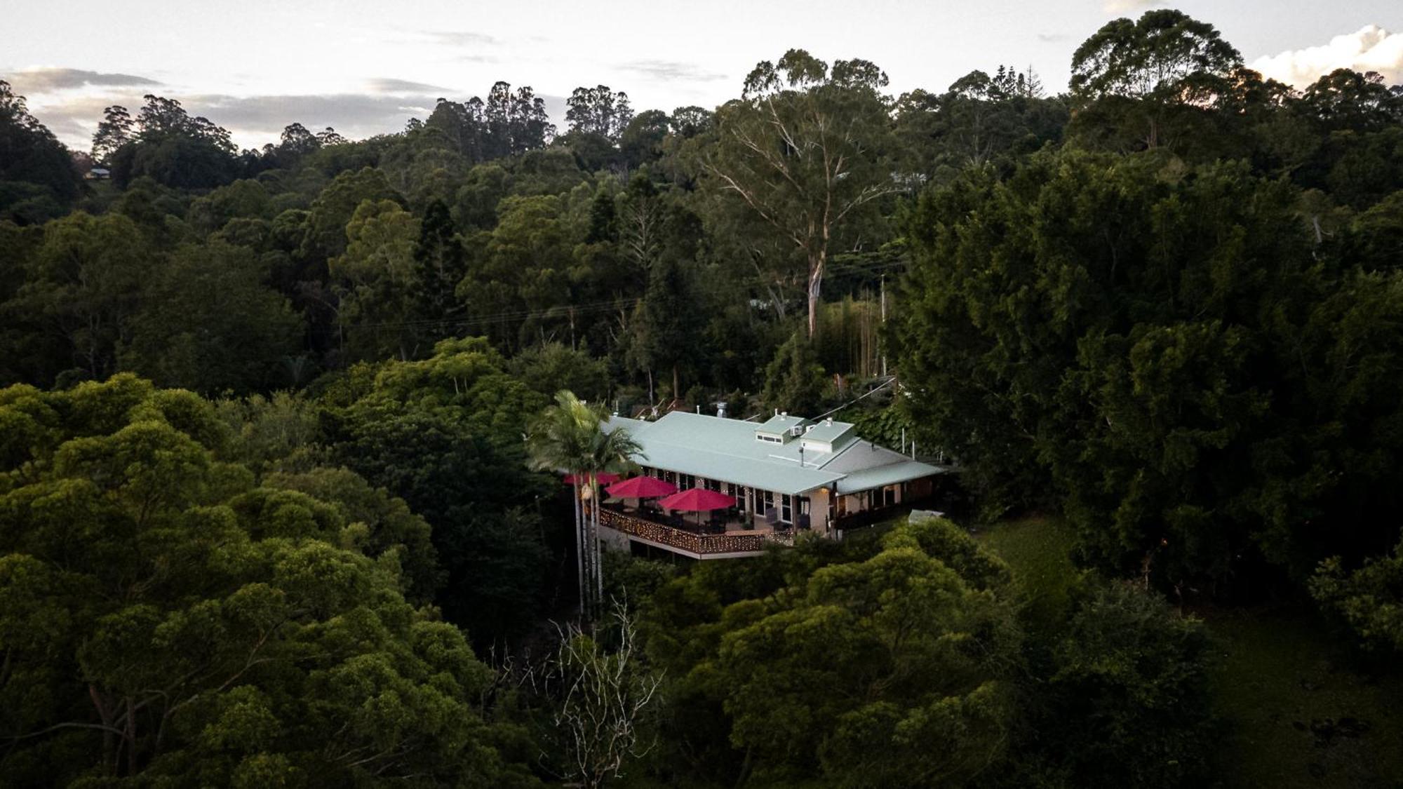 Kondalilla Eco Resort Montville Exterior foto